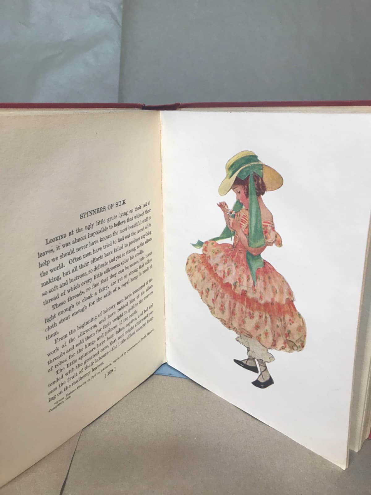 A Child's Book of Country Stories by Ada M. Skinner and Eleanor L. Skinner - additional view