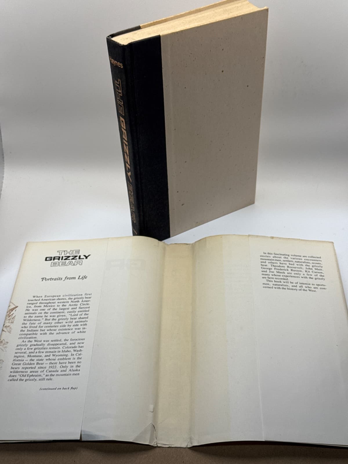 The Grizzly Bear: Portraits from Life by Bessie D. Haynes & Edgar Haynes - additional view