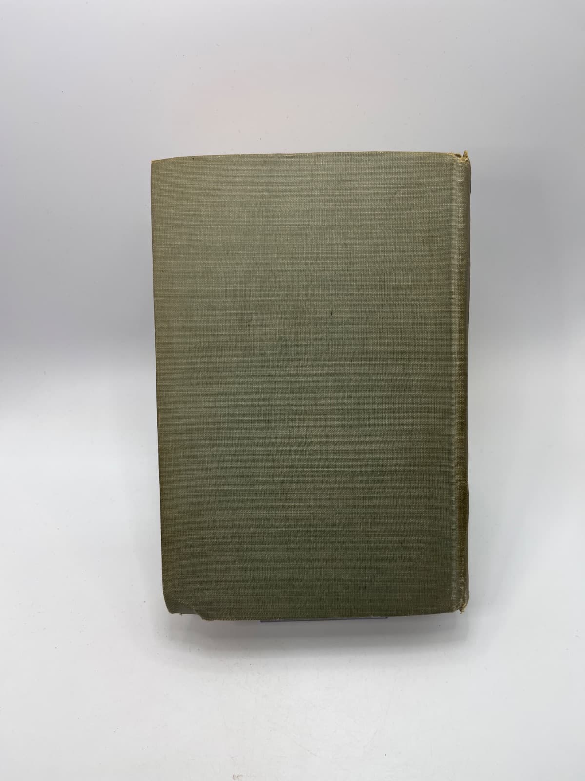Miss Selina Lue by Maria Thompson Daviess - additional view