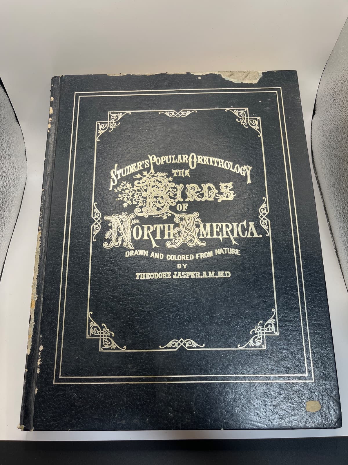 Studer's Popular Ornithology: The Birds of North America - 1977 by Theodore Jasper, A.M., M.D. - front cover