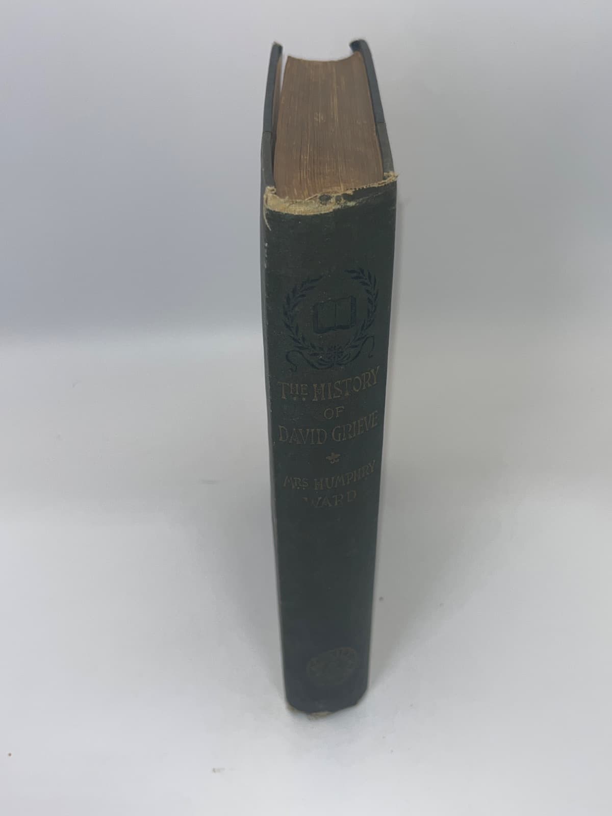 The History of David Grieve by Mrs. Humphry Ward - quarter view showing binding condition