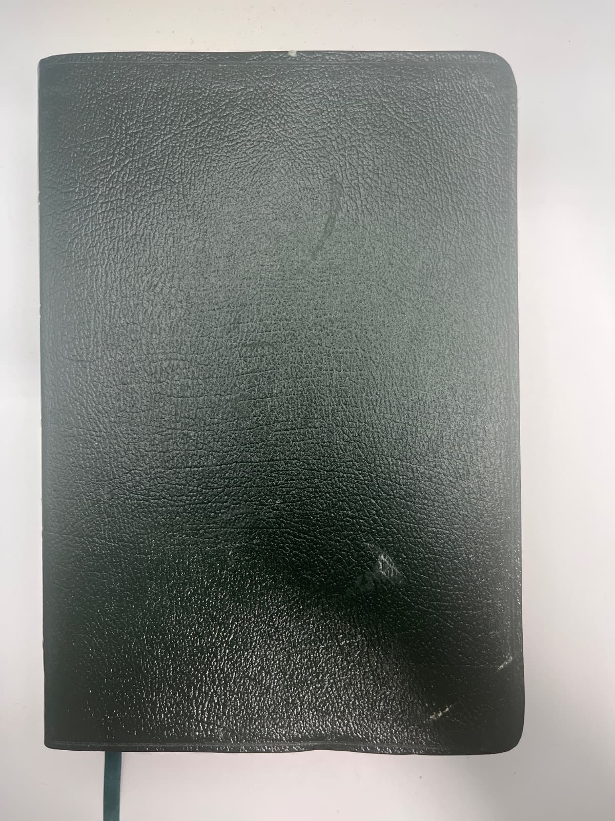 Life Application Study Bible - Green Bonded Leather - NIV by Zondervan - front cover
