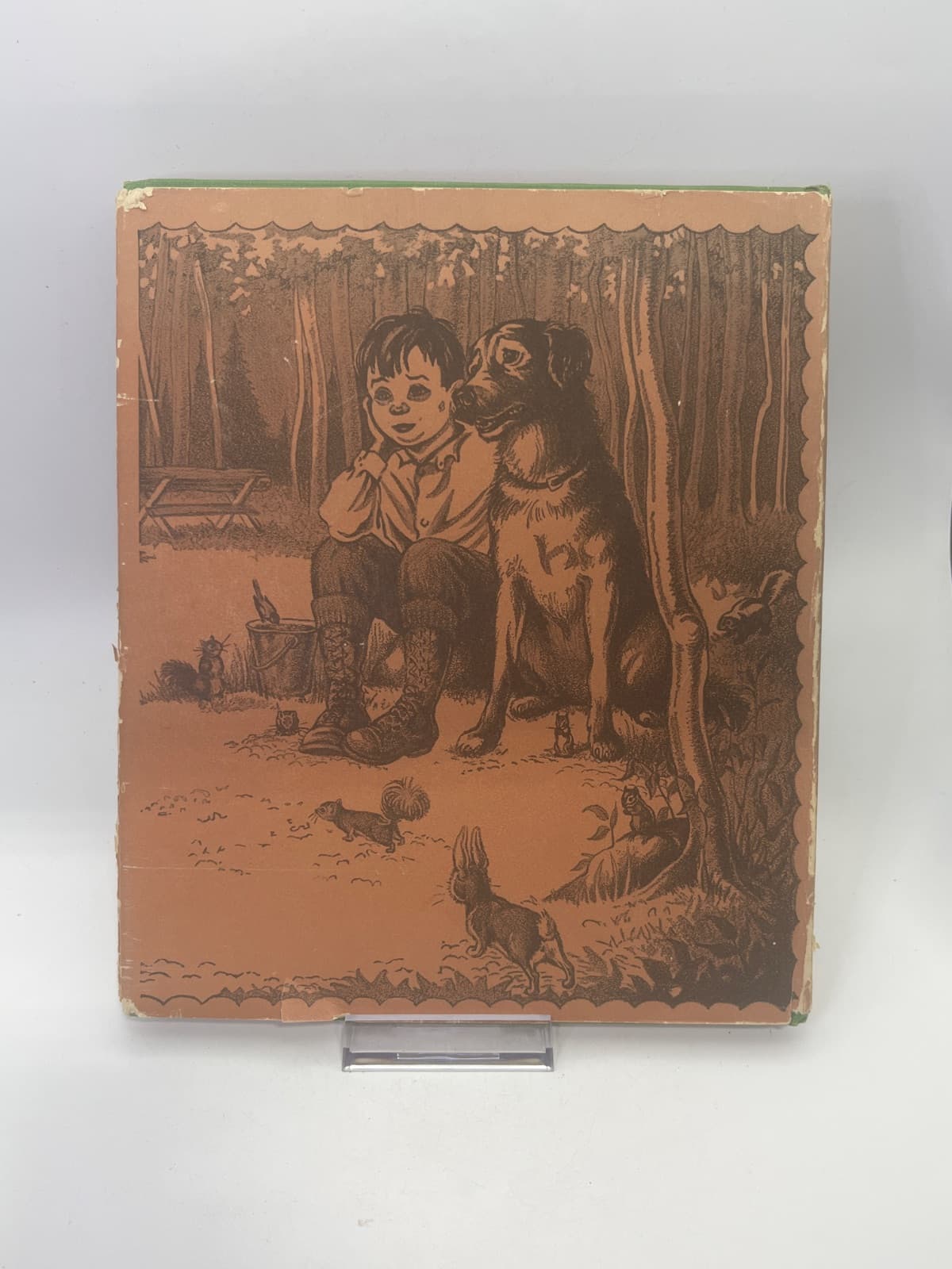 White Tail: King of the Forest by Nell Stolp Smock - additional view