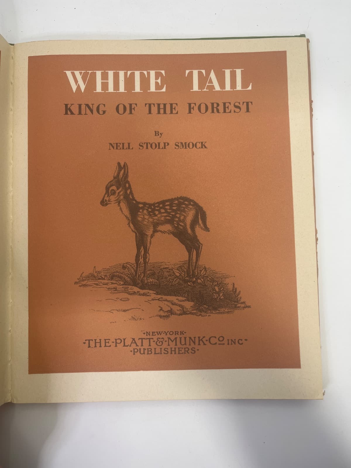 White Tail: King of the Forest by Nell Stolp Smock - title page