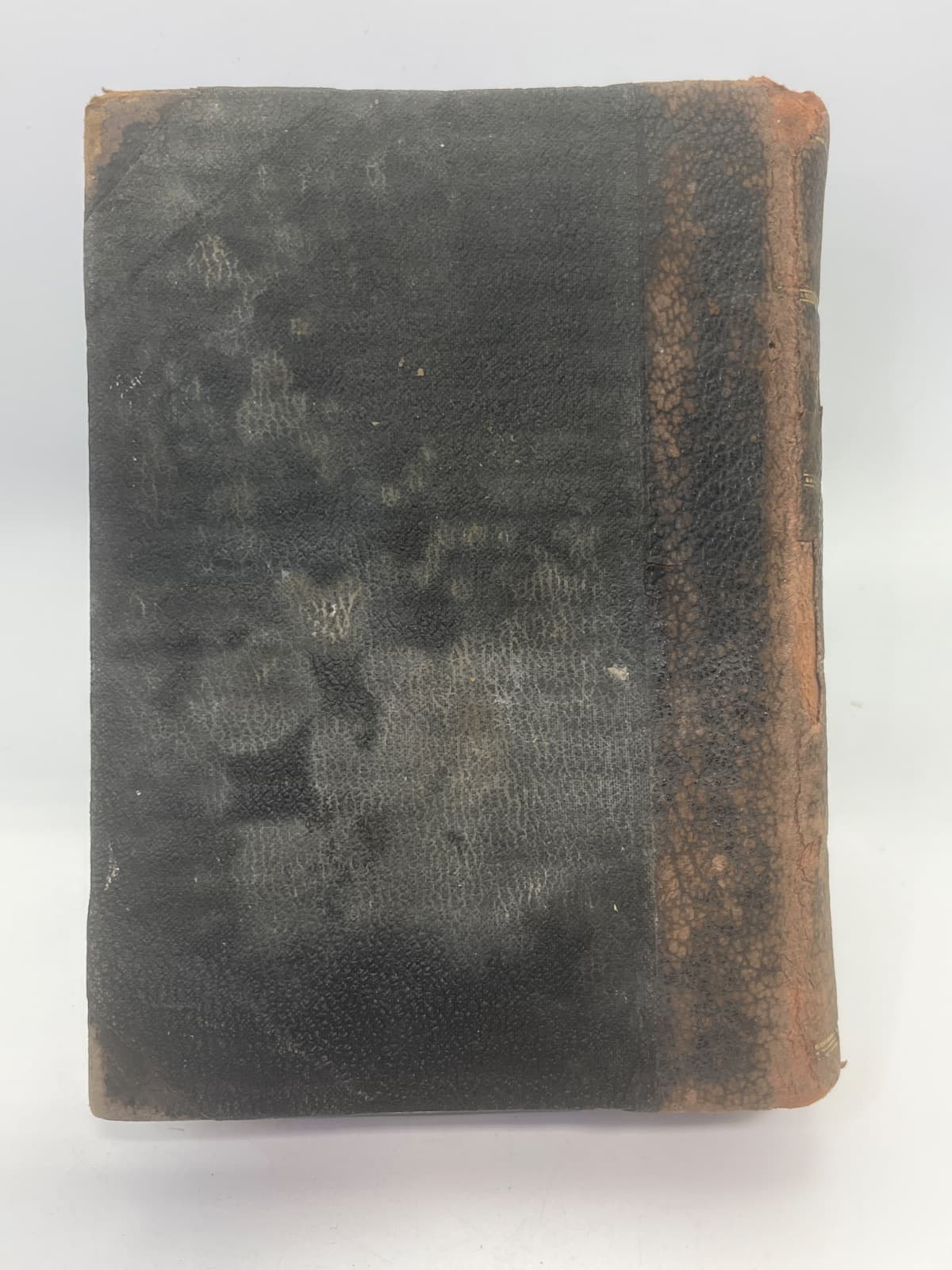 The Holy Bible, Containing the Old and New Testaments - 1872 - additional view
