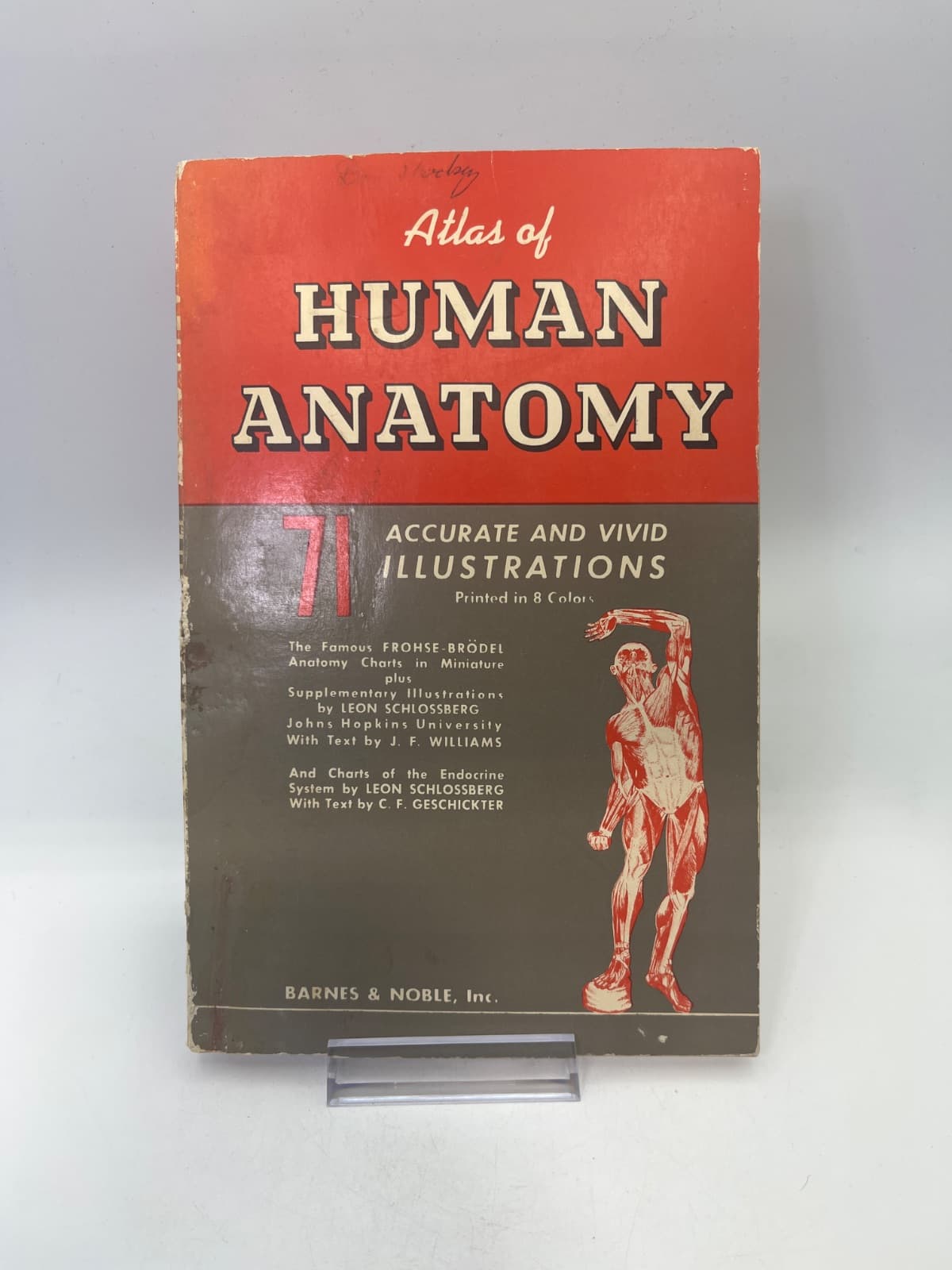 Atlas of Human Anatomy by Franz Frohse, Max Brödel, Leon Schlossberg, Jesse F. Williams - front cover