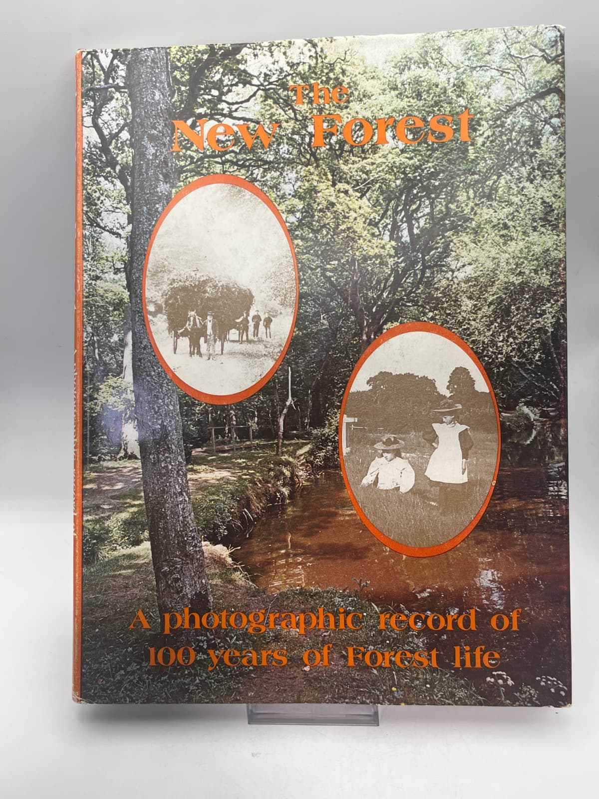 The New Forest by Philip Allison - front cover