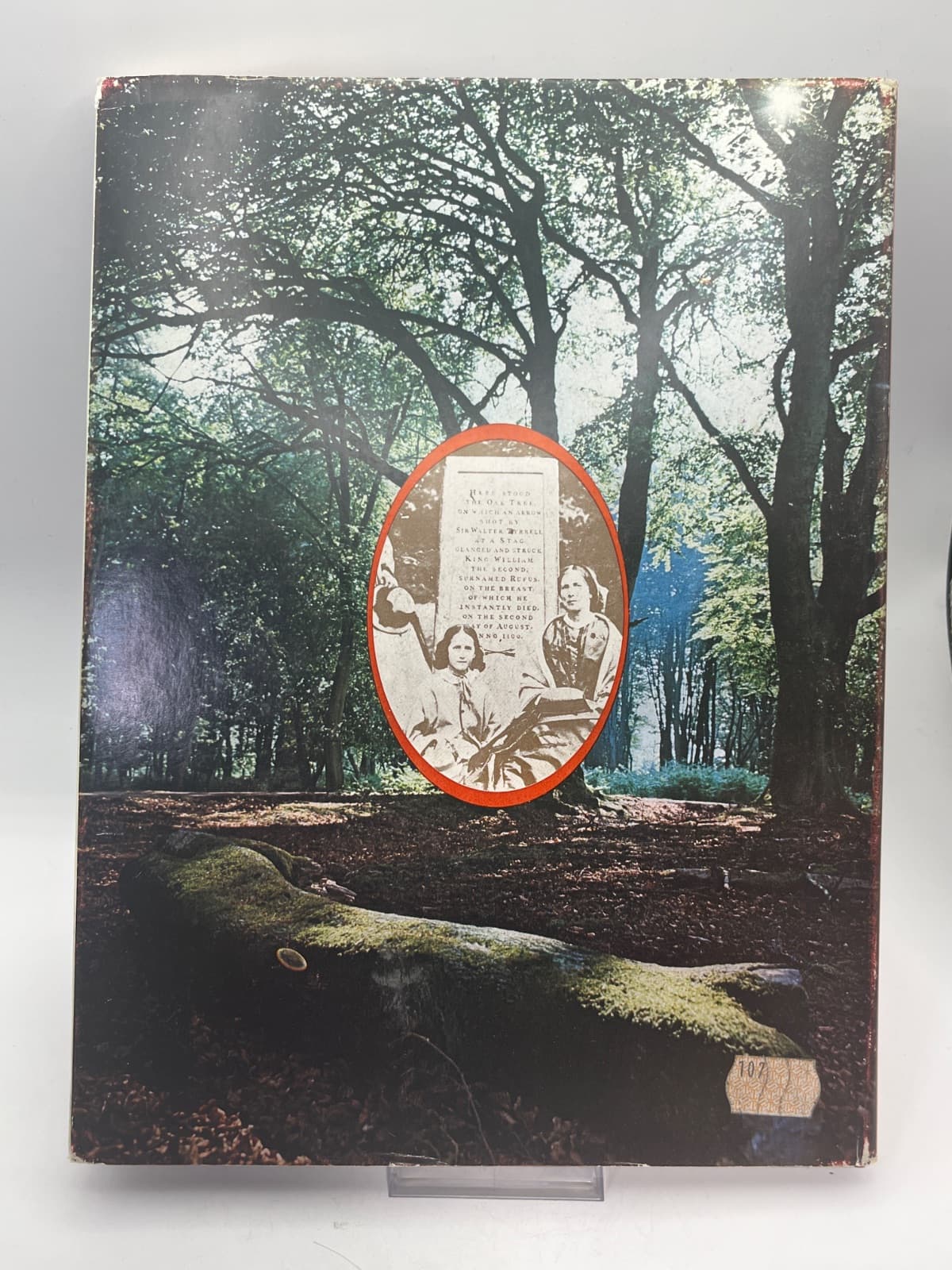The New Forest by Philip Allison - additional view
