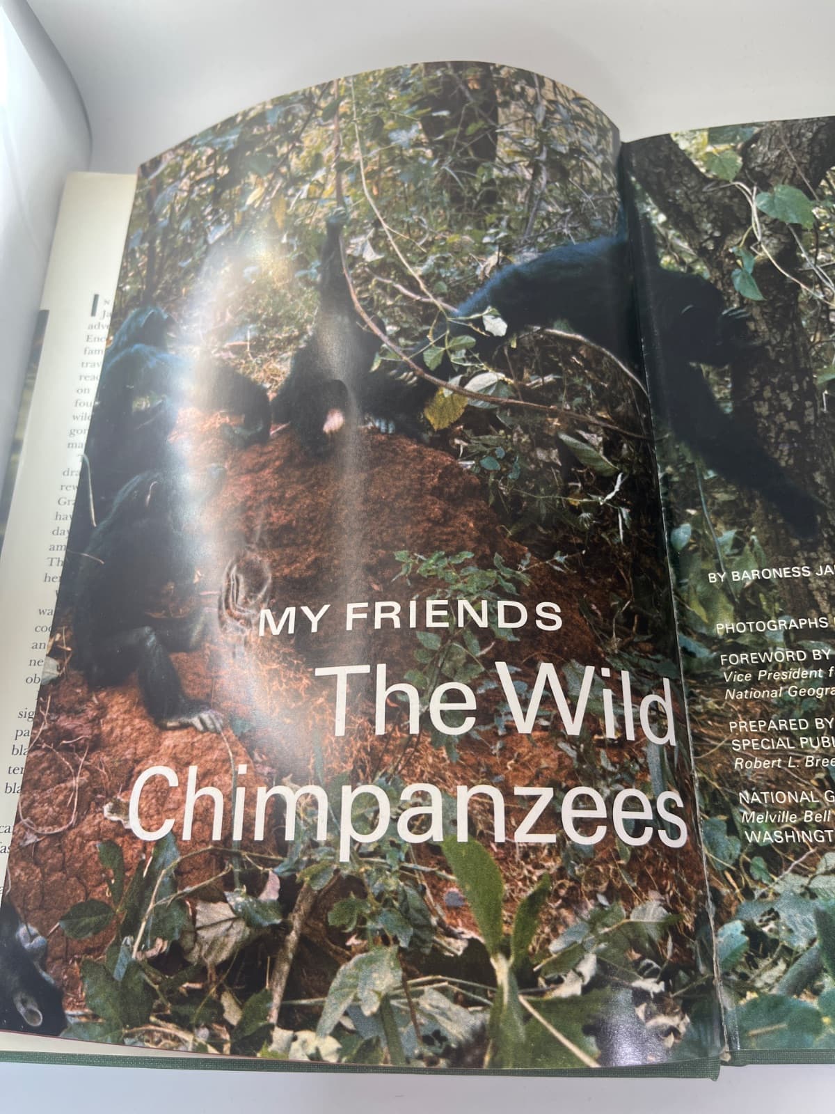 My Friends the Wild Chimpanzees by Baroness Jane Van Lawick-Goodall - title page