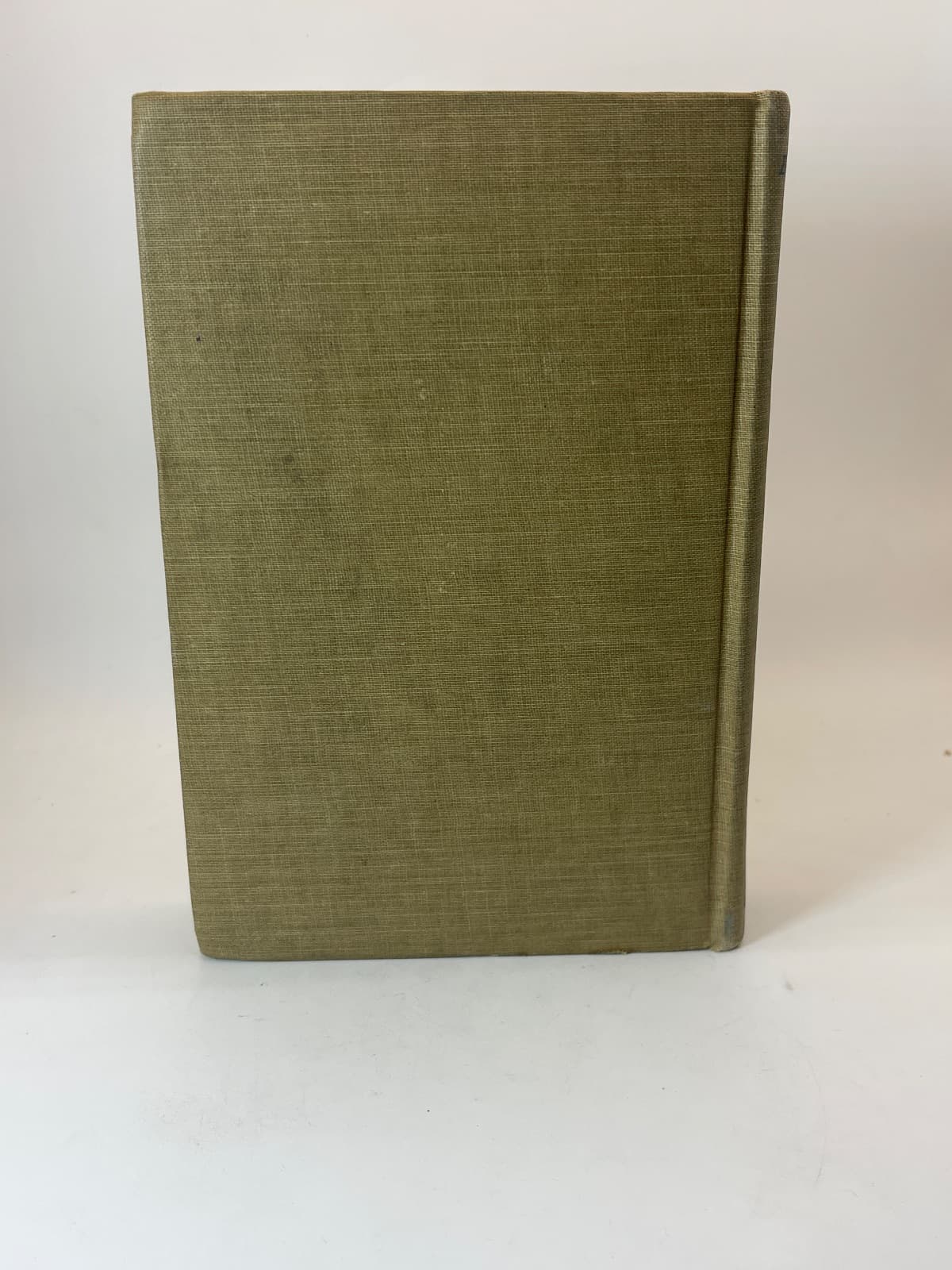 Bewitched by Alice Williamson - additional view