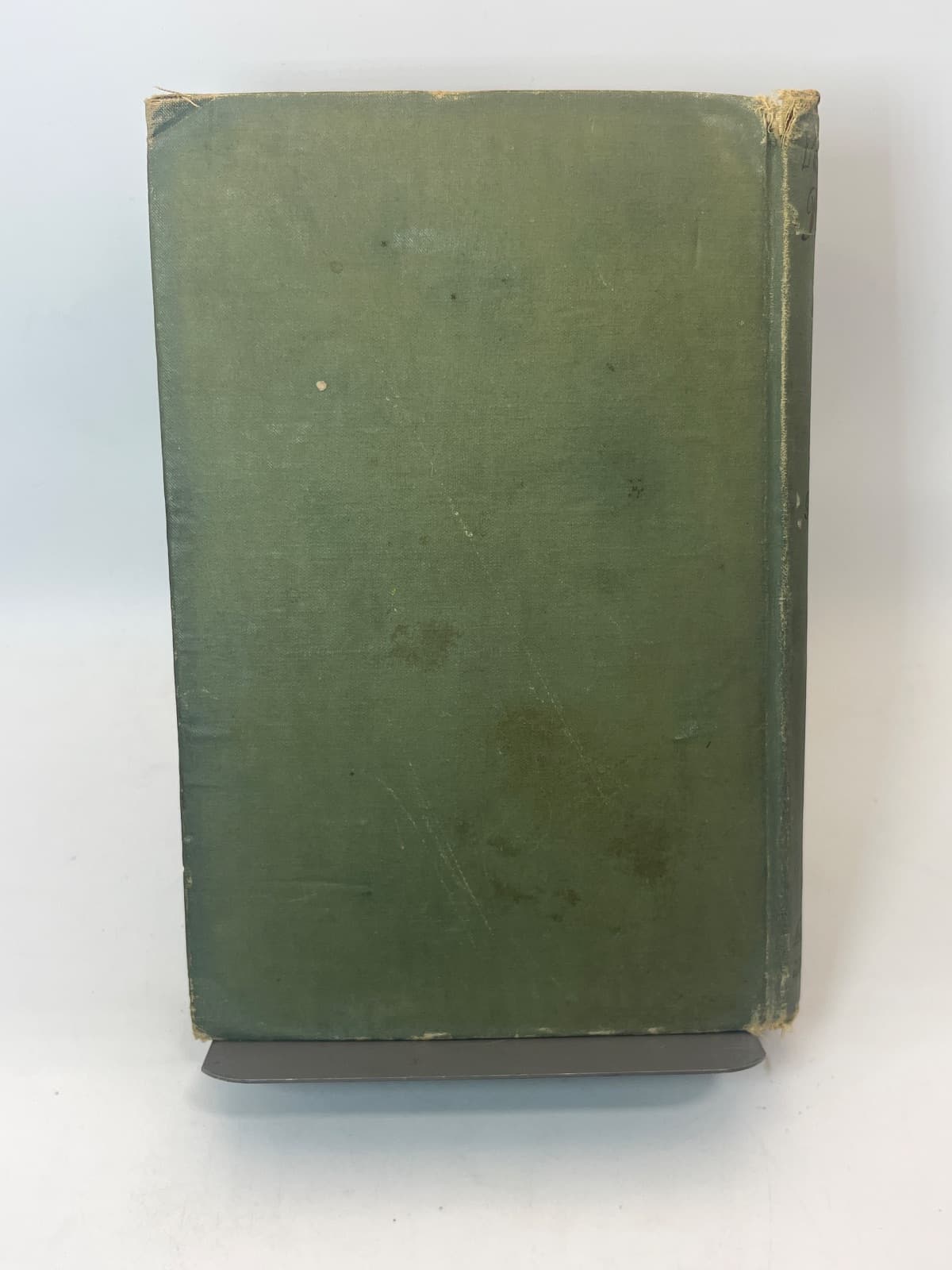Veronica Playfair by Maud Wilder Goodwin - additional view