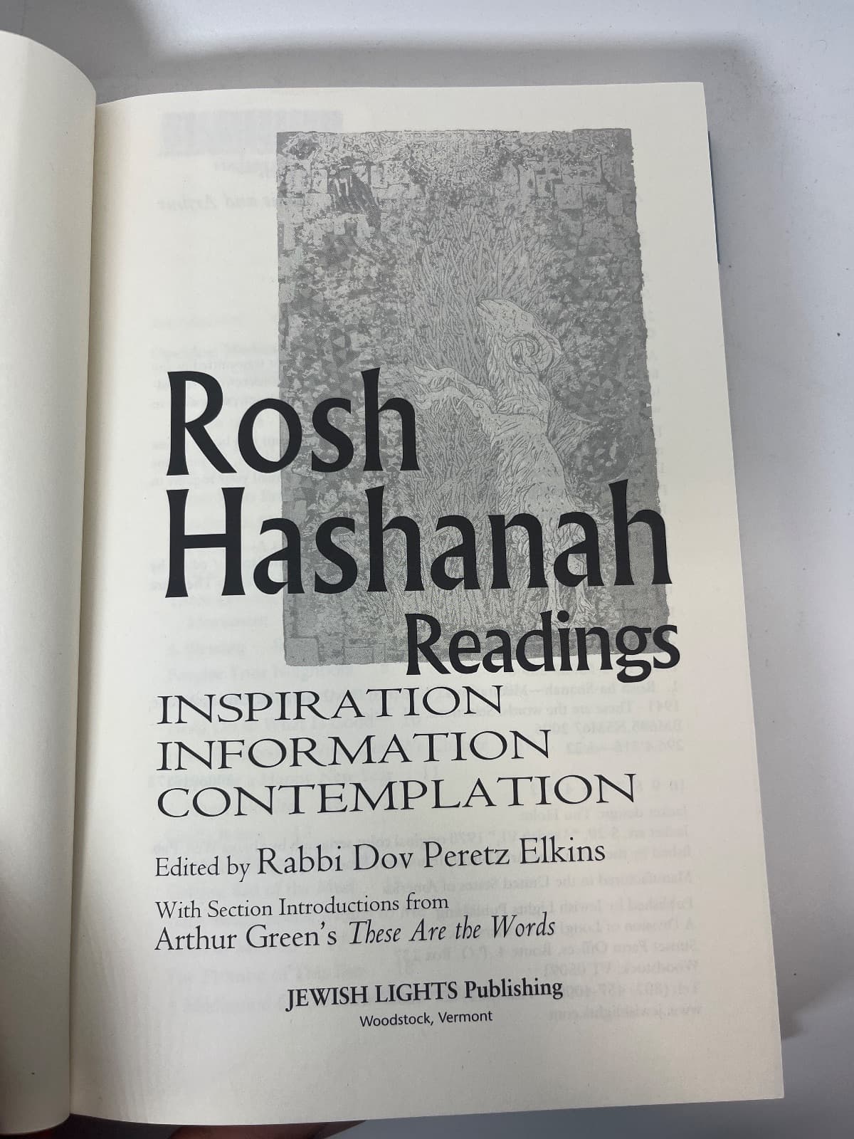 Rosh Hashanah Readings: Inspiration, Information, Contemplation - Ex Library  by Rabbi Dov Peretz Elkins - title page