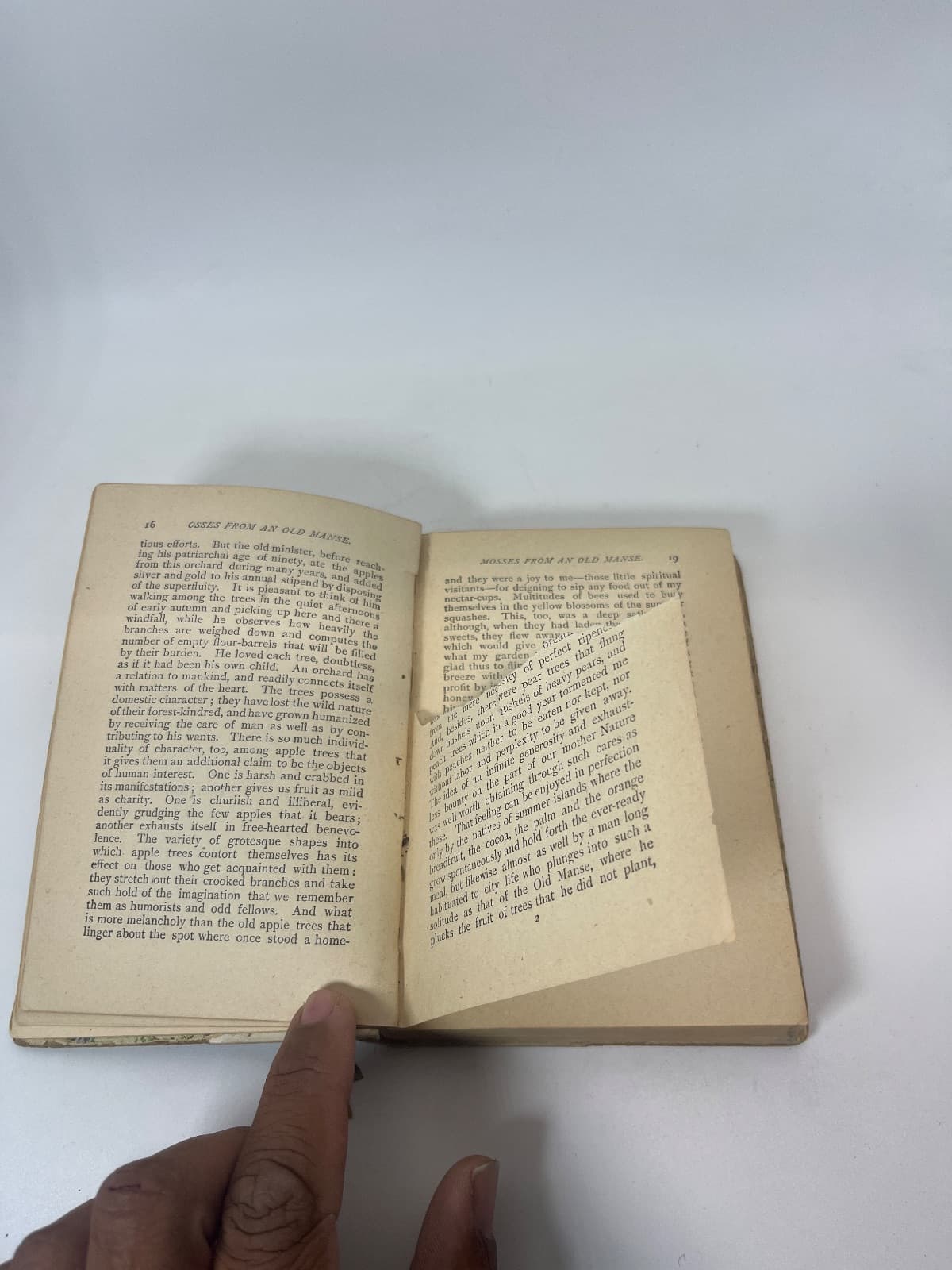 Mosses from an Old Manse by Nathaniel Hawthorne - additional view
