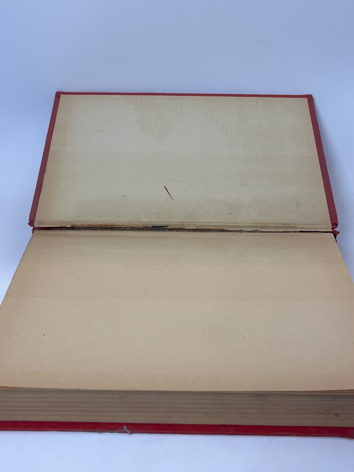 Jane Stewardess of the Air Lines by Ruthe S. Wheeler - additional view