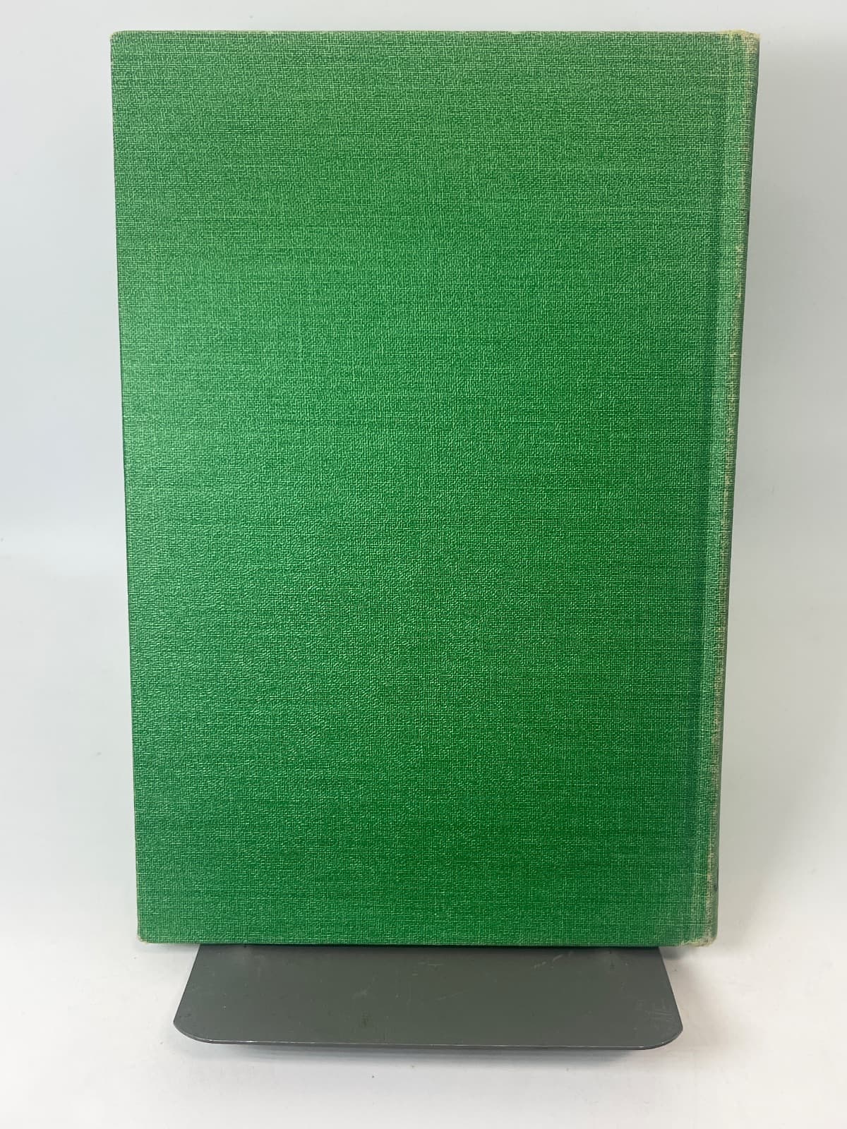 The Great Dane by Virginia Keckler - additional view