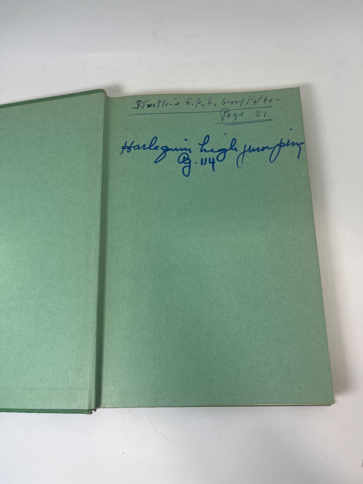 The Great Dane by Virginia Keckler - quarter view showing binding condition