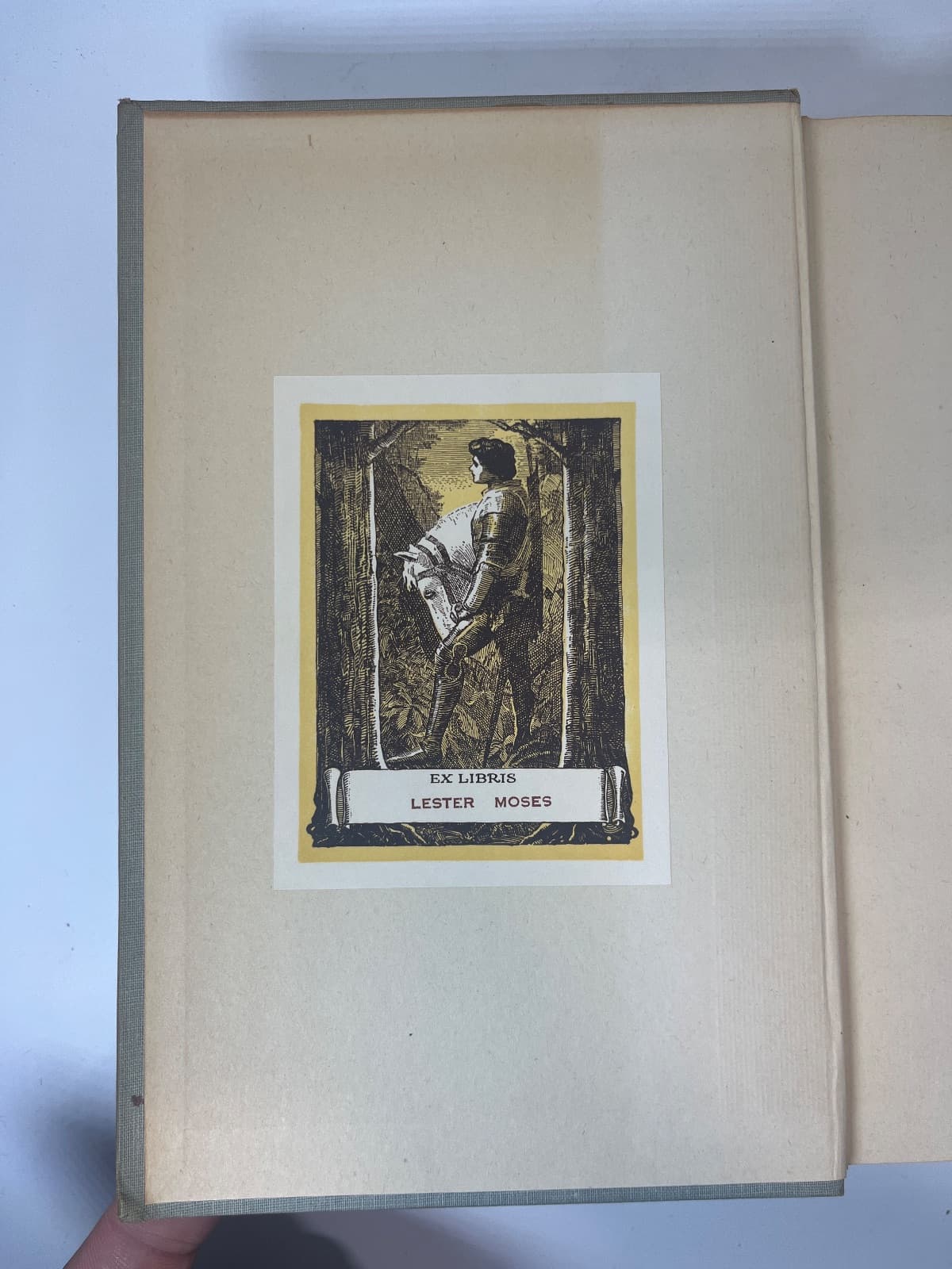 Collected Poems of Herman Melville by Herman Melville - additional view