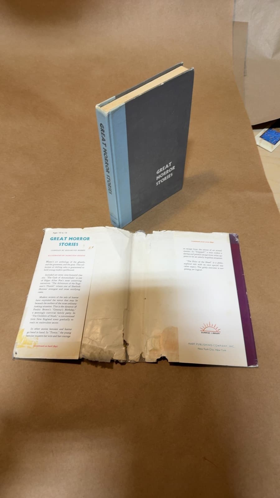 Great Horror Stories by Compiled by Rosamund Morris - additional view