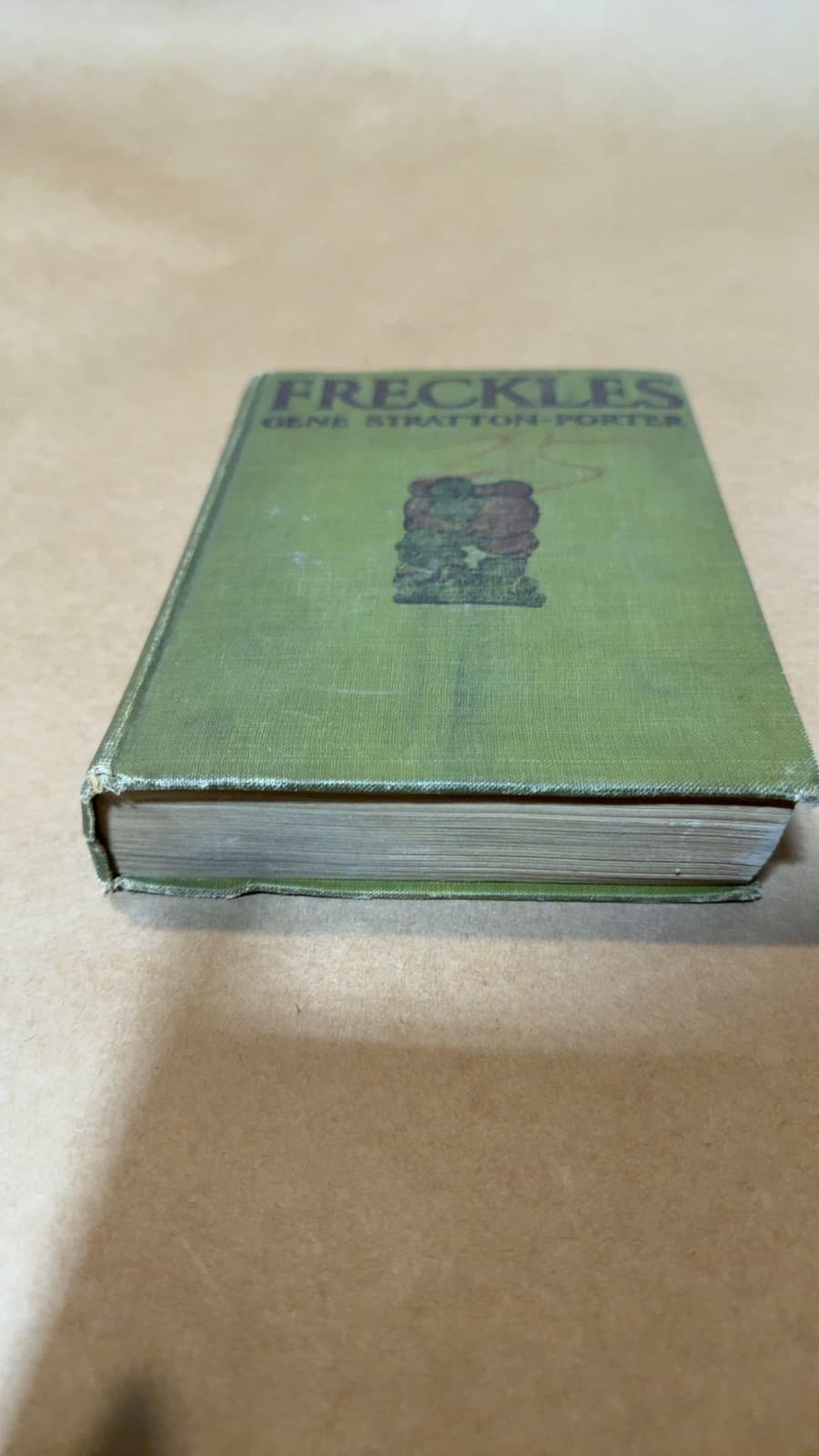 Freckles by Gene Stratton-Porter - additional view