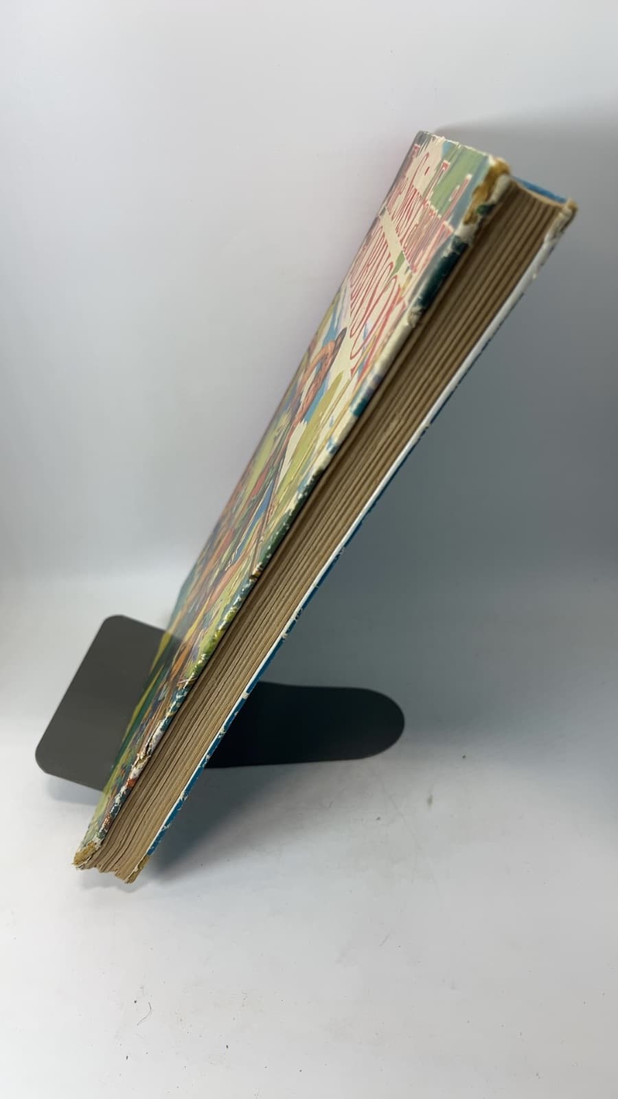 The Swiss Family Robinson - quarter view showing binding condition