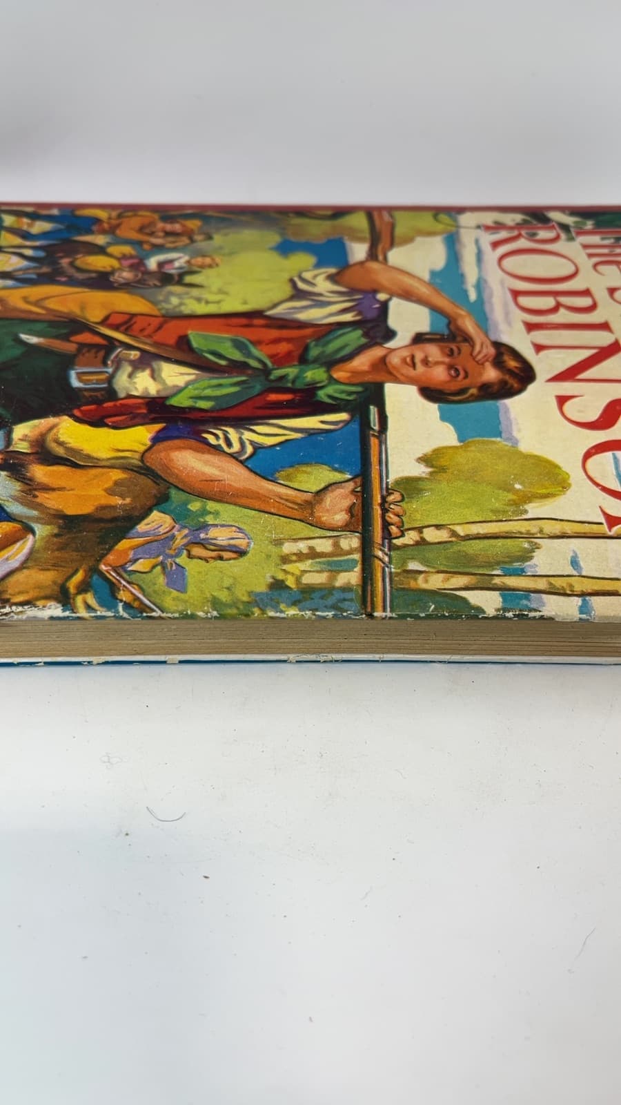 The Swiss Family Robinson - additional view