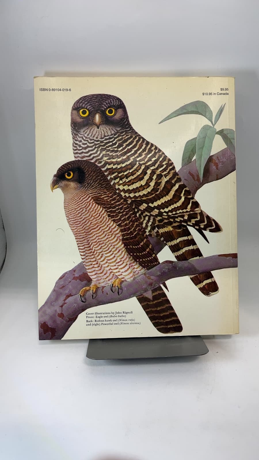 Owls of the World: their evolution, structure and ecology by John A. Burton (Editor) - additional view