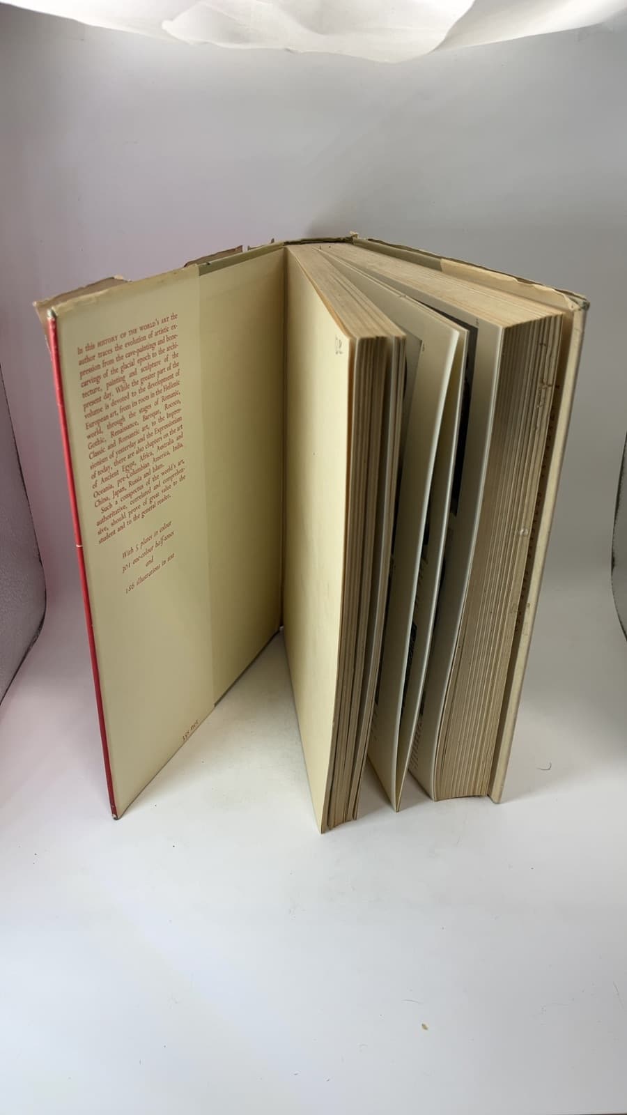 History of the World's Art by Hermann Leicht - quarter view showing binding condition