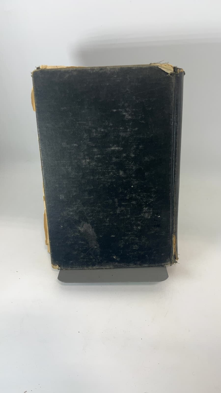 Singing Youth by Mabel Mountsier - additional view