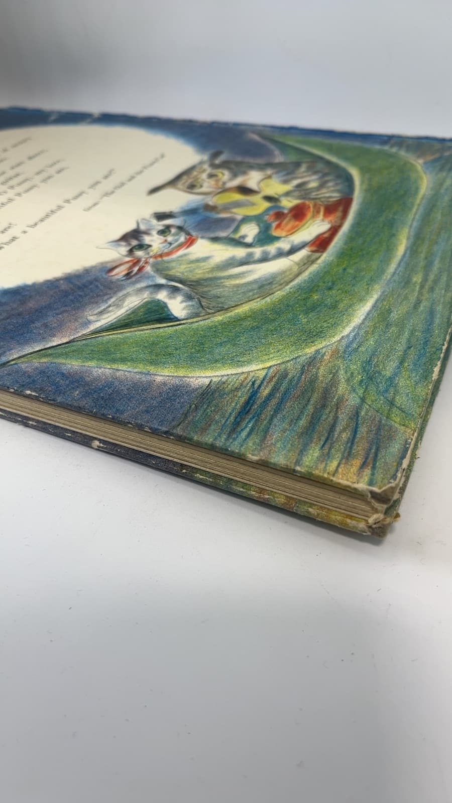 Edward Lear's Nonsense Book by Tony Palazzo - quarter view showing binding condition