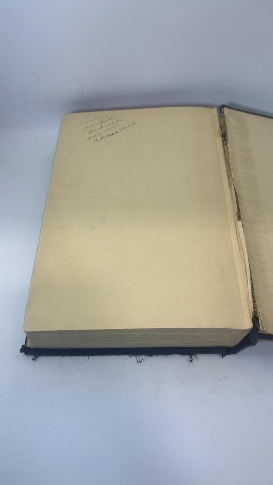 The Patriotic Anthology by Carl Van Doren - additional view