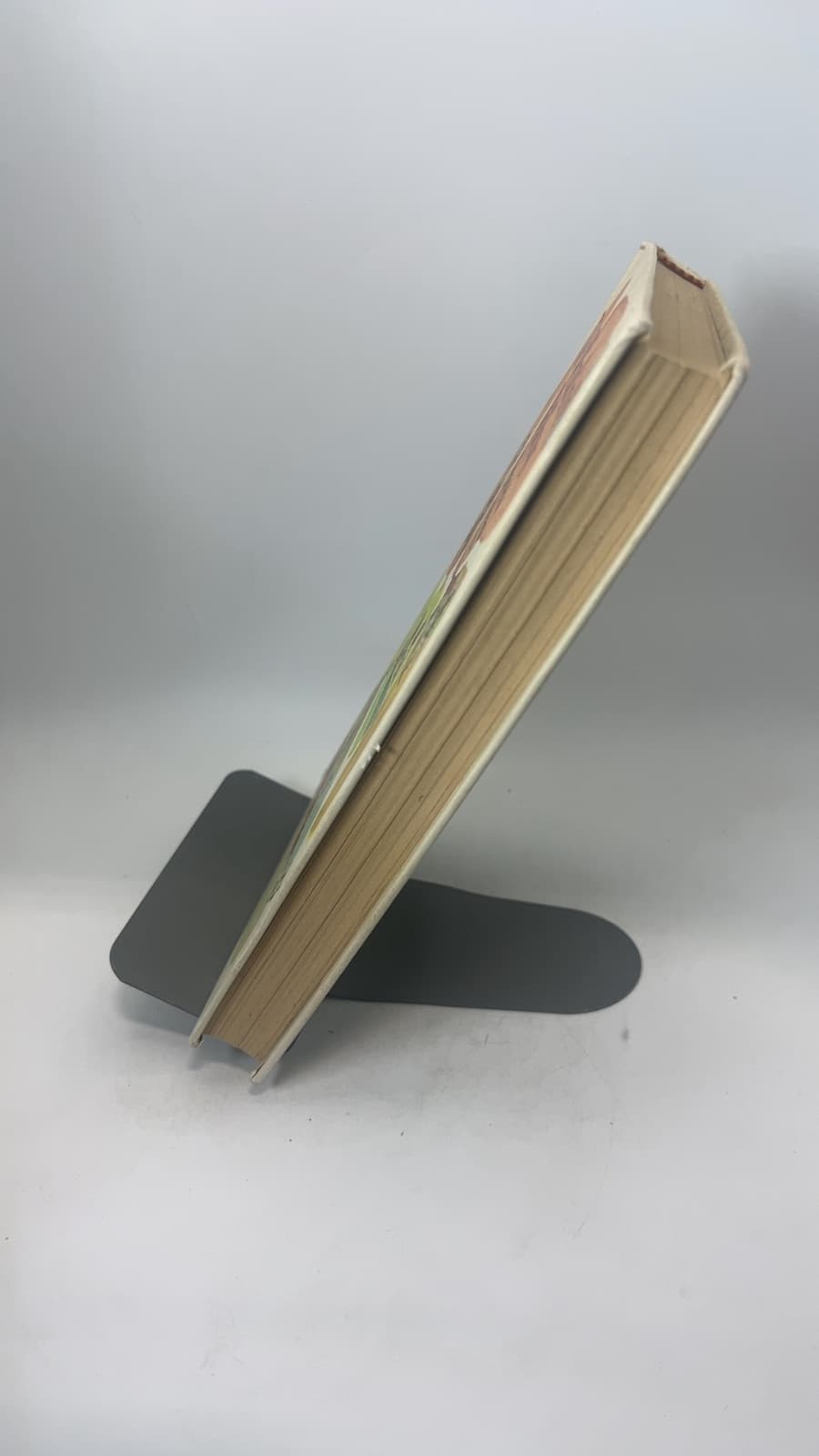 The Wind in the Willows by Kenneth Grahame - quarter view showing binding condition