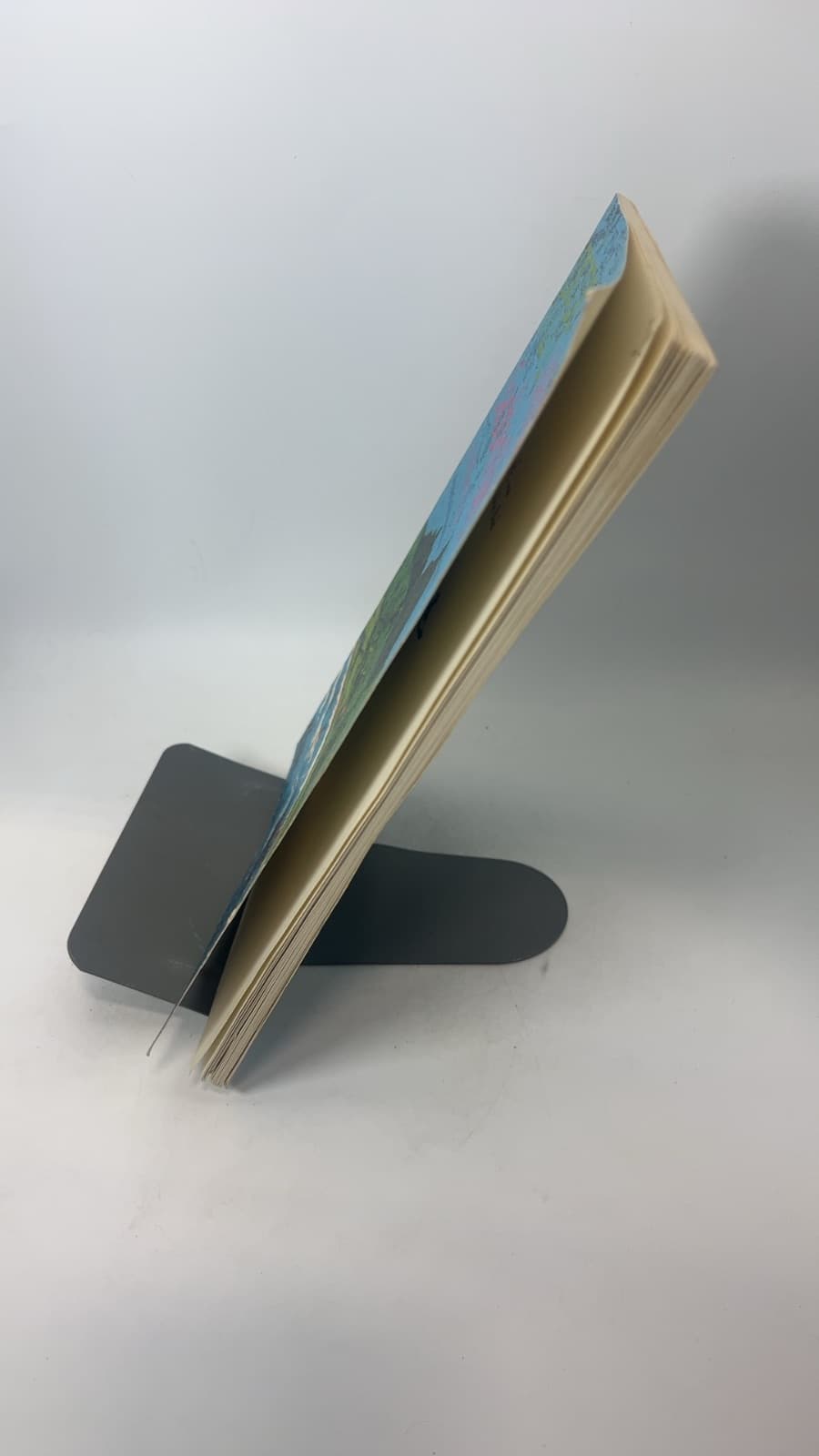 PÉPÉ was the Saddest Bird by William Stone - quarter view showing binding condition
