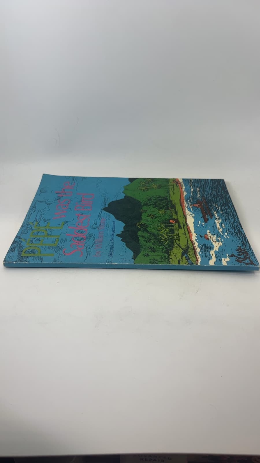 PÉPÉ was the Saddest Bird by William Stone - additional view