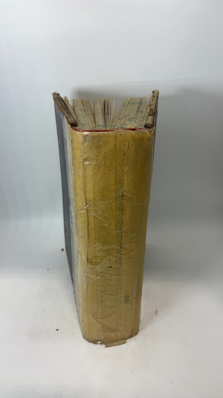 Daniel and the Revelation by Uriah Smith - quarter view showing binding condition