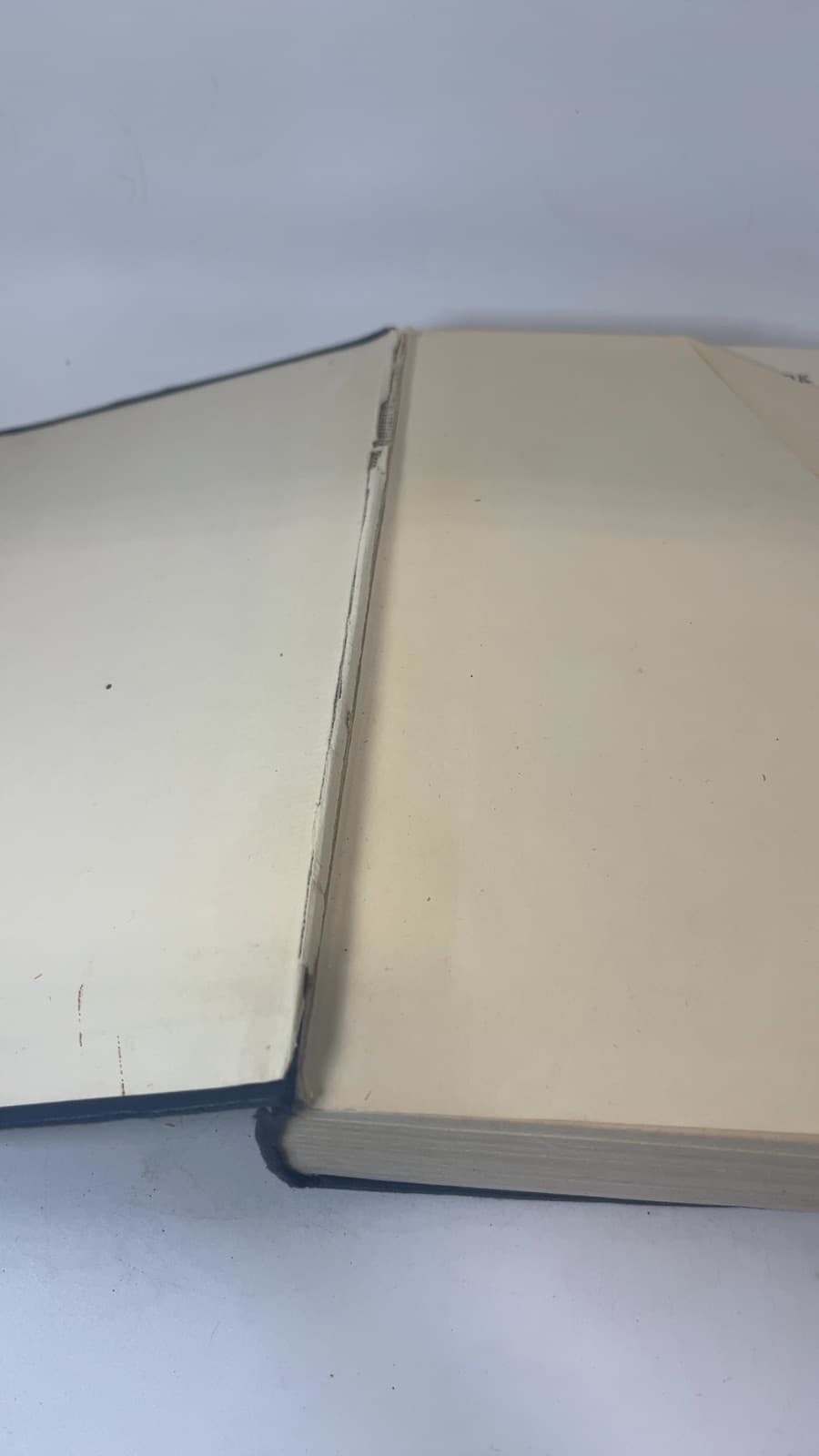 The New Bible Handbook by G. T. Manley - additional view