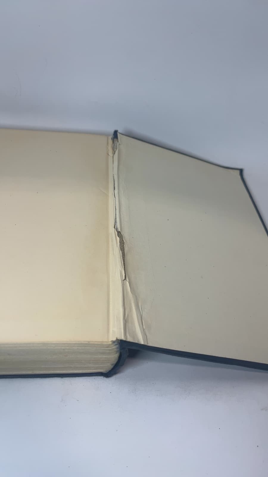 The New Bible Handbook by G. T. Manley - additional view