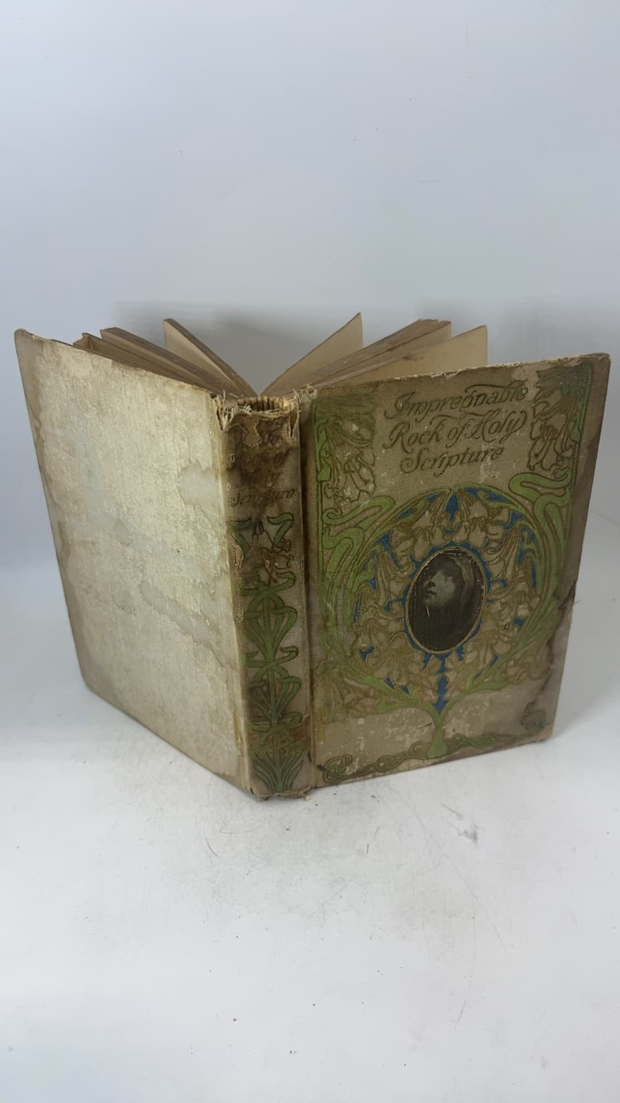 The Impregnable Rock of Holy Scripture by William E. Gladstone - additional view