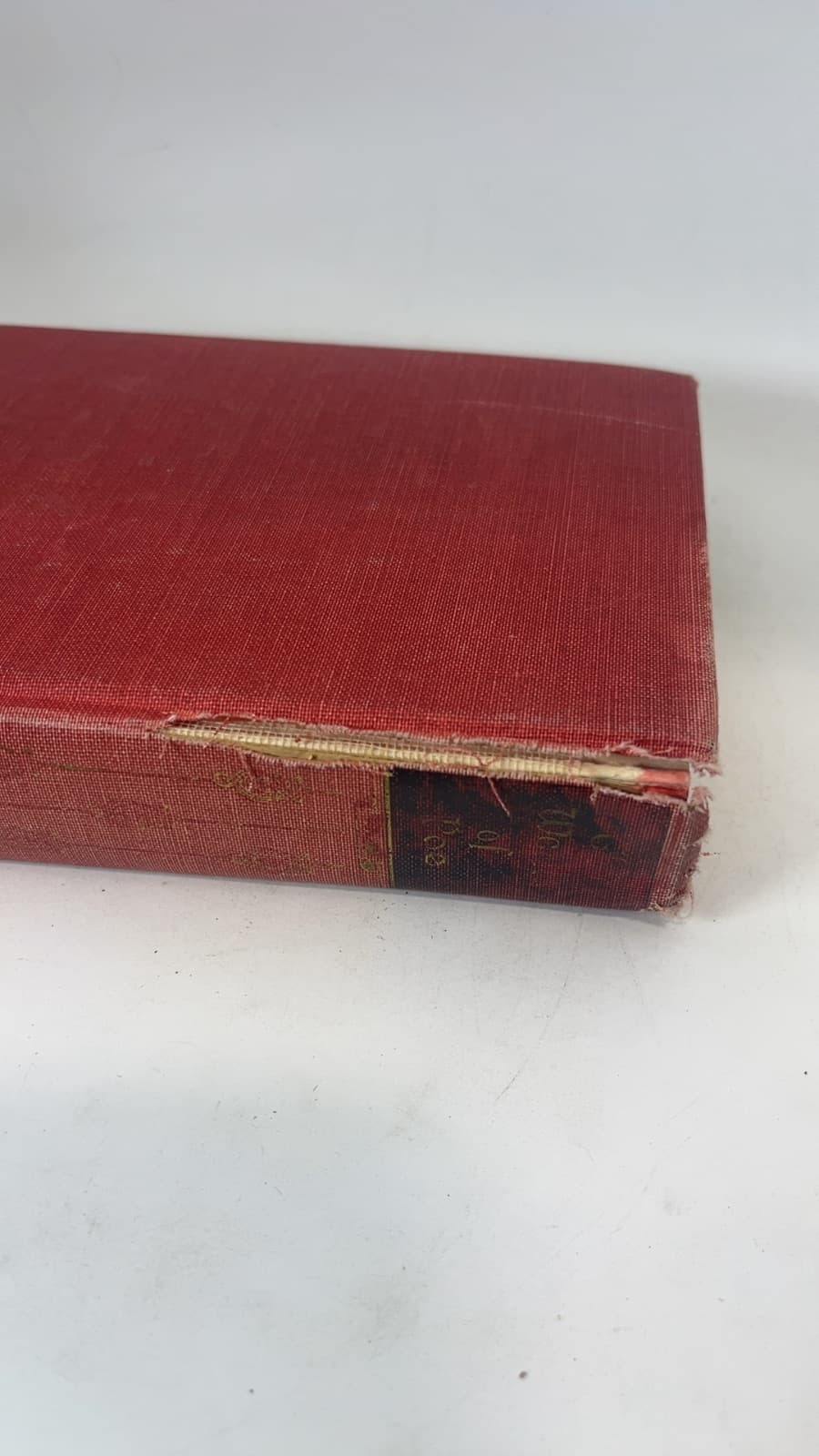 The Works of Edgar Allan Poe in One Volume by Edgar Allan Poe - additional view