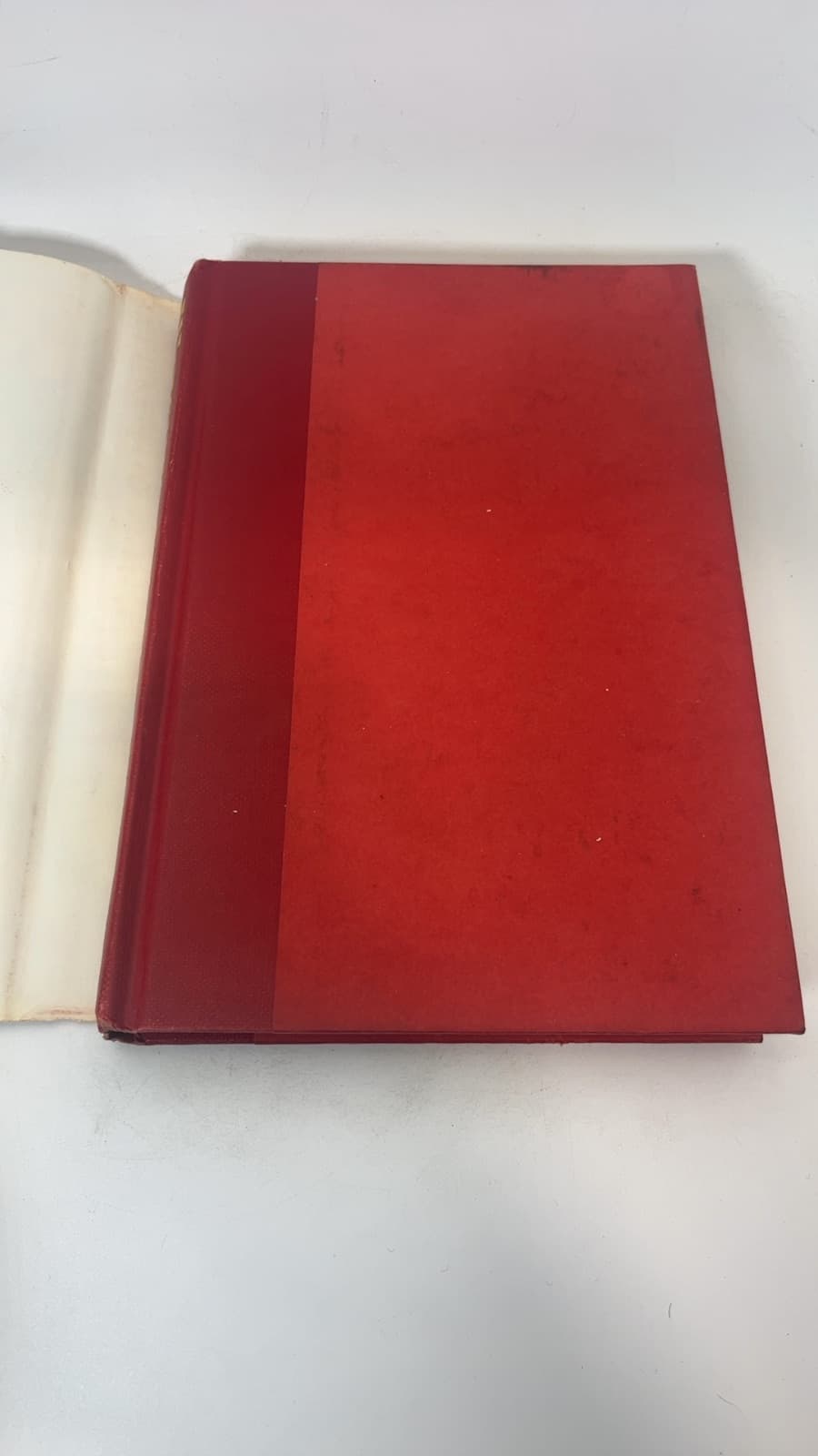 Witches Abroad by Terry Pratchett - additional view