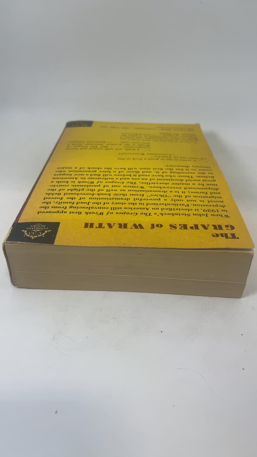 The Grapes of Wrath by John Steinbeck - additional view