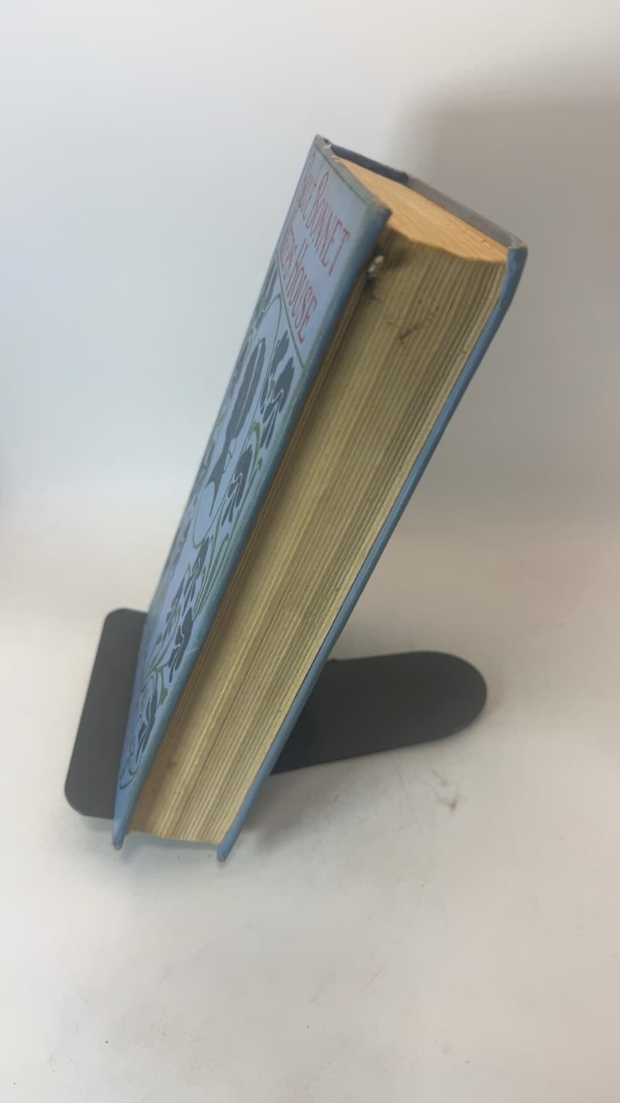 Blue Bonnet Keeps House by Caroline E. Jacobs and Lela H. Richards - quarter view showing binding condition