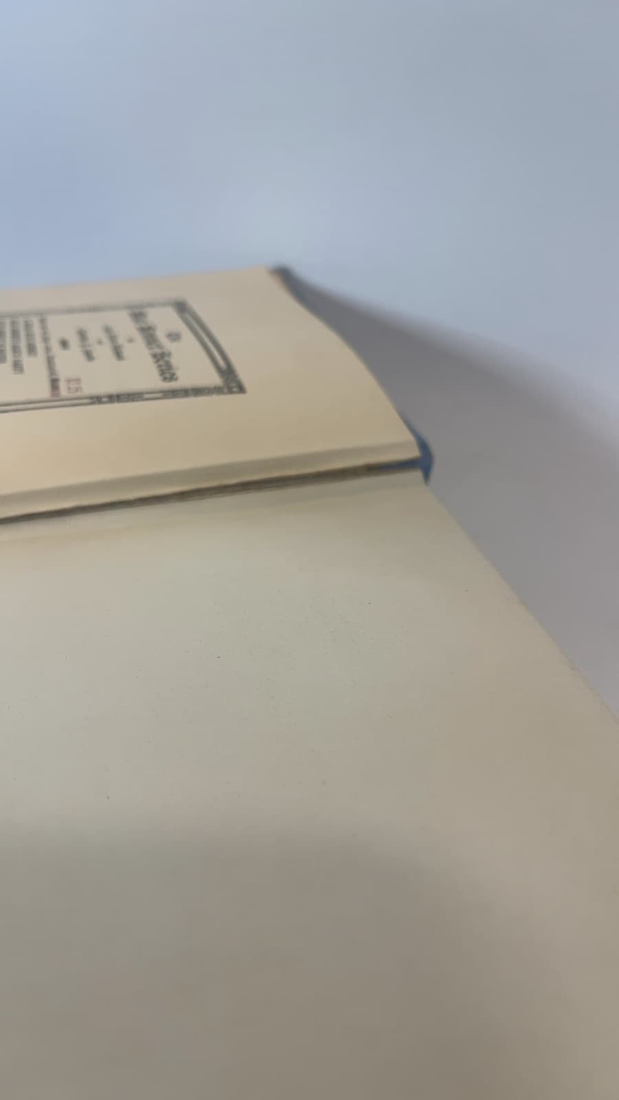 Blue Bonnet Keeps House by Caroline E. Jacobs and Lela H. Richards - additional view