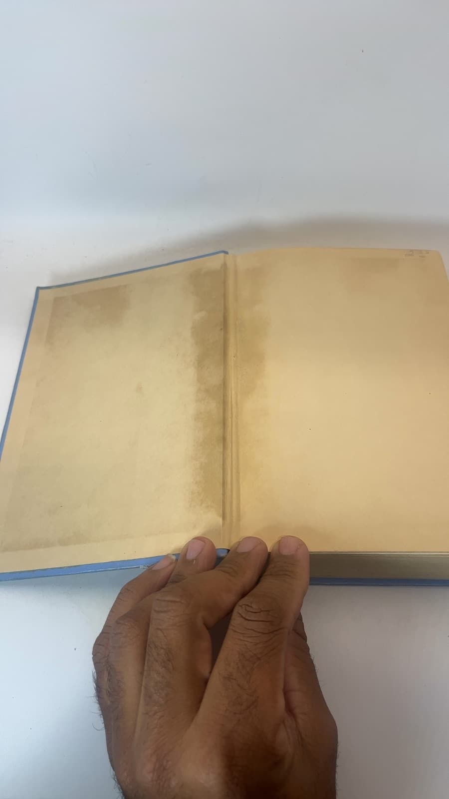 Blue Bonnet Keeps House by Caroline E. Jacobs and Lela H. Richards - additional view