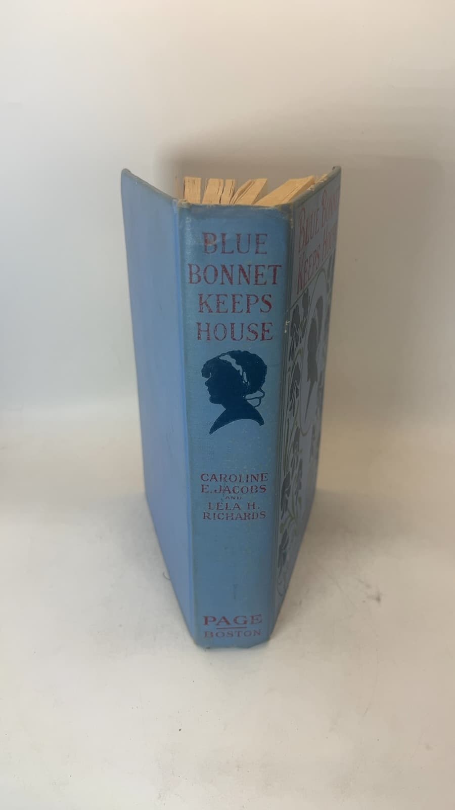Blue Bonnet Keeps House by Caroline E. Jacobs and Lela H. Richards - additional view