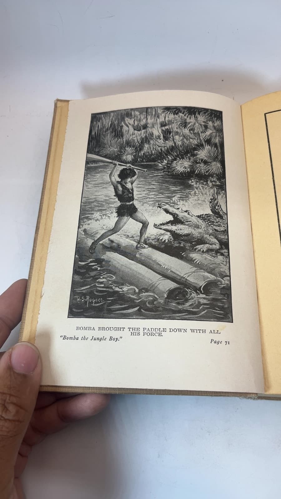 Bomba the Jungle Boy or The Old Naturalist’s Secret by Roy Rockwood - additional view