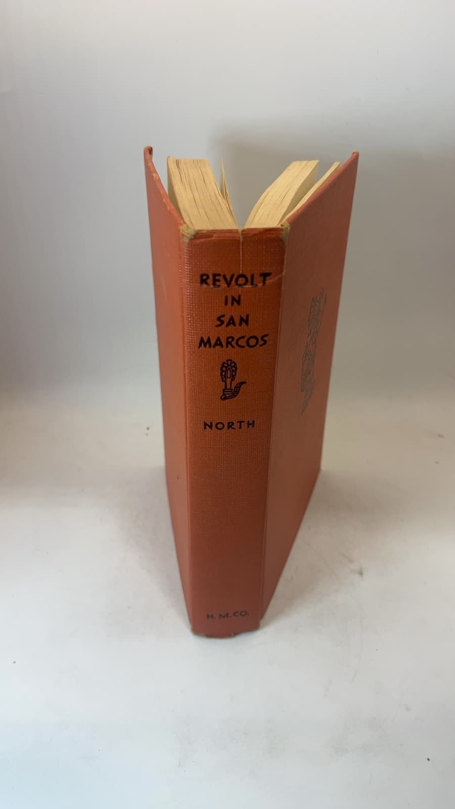 Revolt in San Marcos by Robert Carver North - additional view