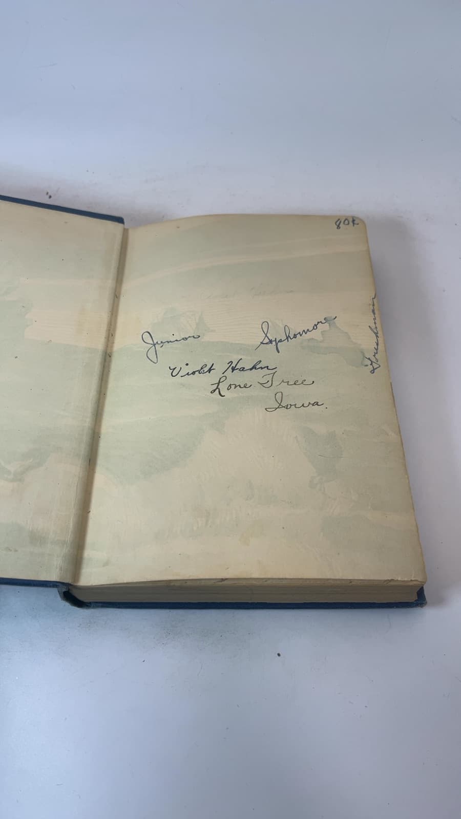 The Scarlet Letter by Nathaniel Hawthorne - additional view