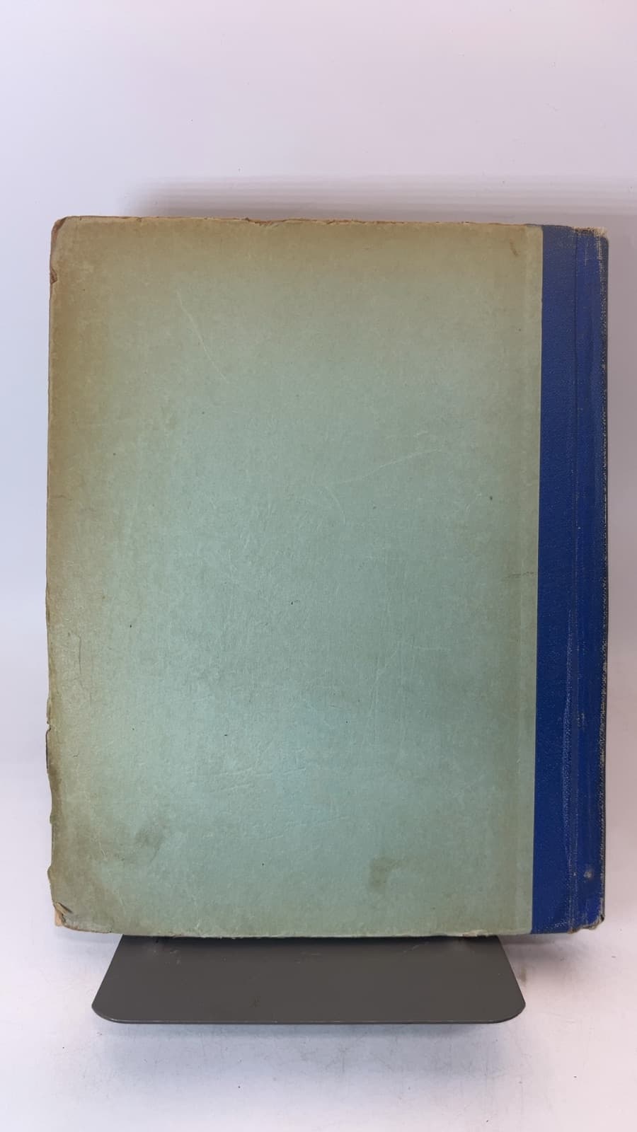 THE LITTLE MEXICAN DONKEY BOY by MADELINE BRANDEIS - additional view