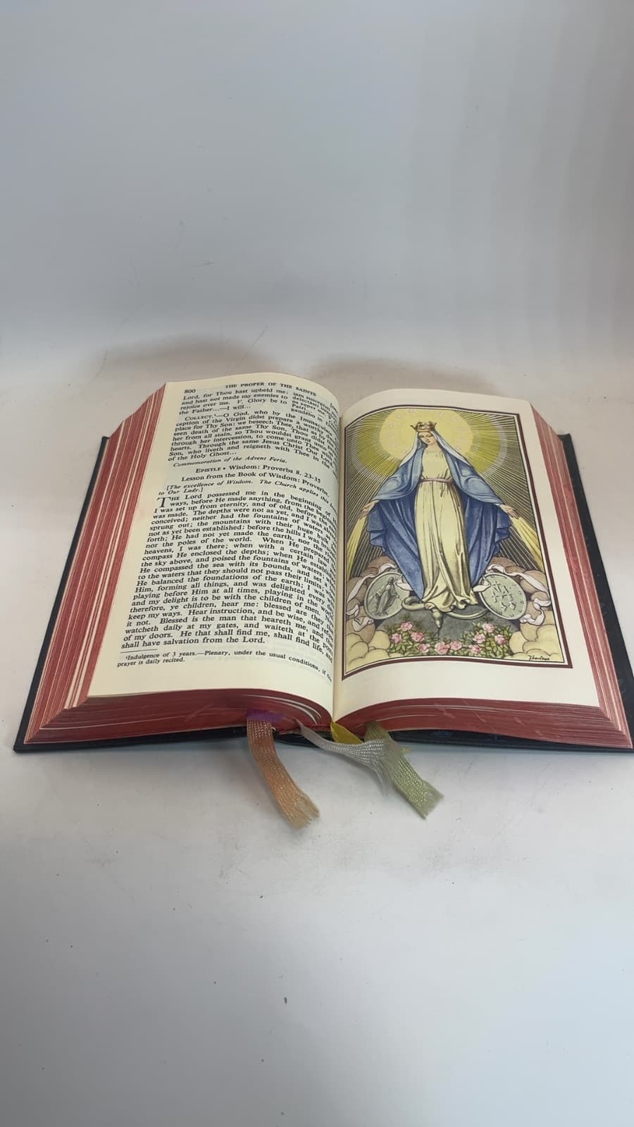 The New Marian Missal for Daily Mass by Sylvester P. Juergens, S.M. - additional view