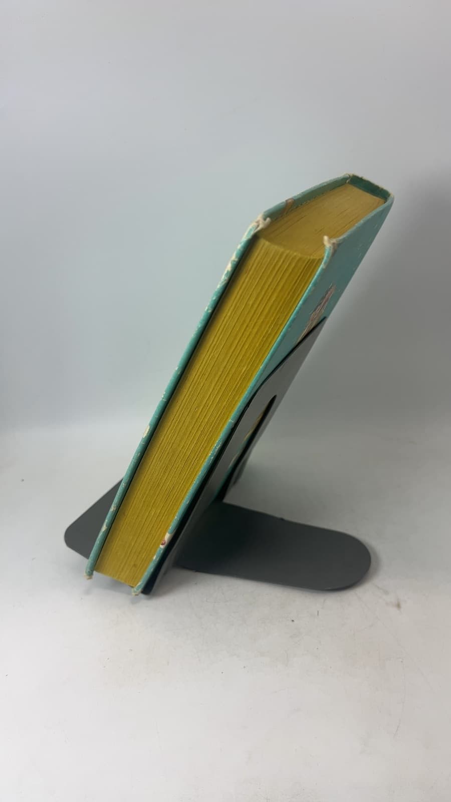 The Bobbsey Twins at the Seashore by Laura Lee Hope - quarter view showing binding condition